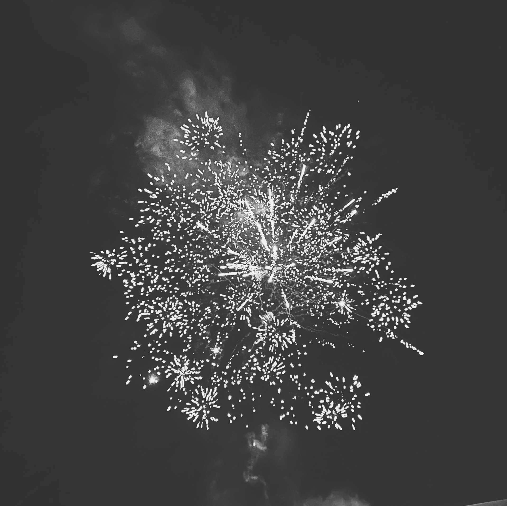 1737977451000.JPG